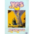 Yes - Yes Years